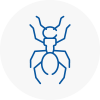 Ant Removals In Cranbrook